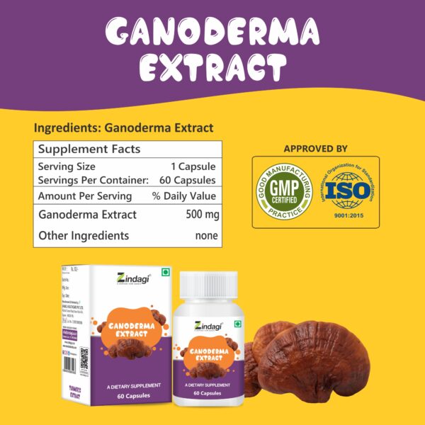 Nutritional value of ganoderma extract capsules