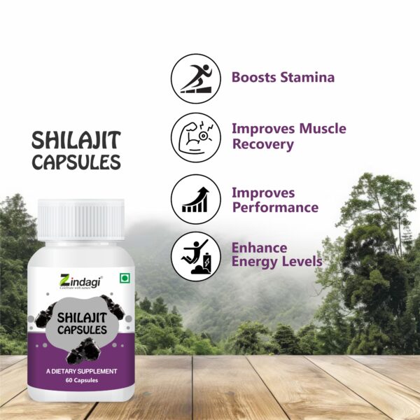 Health benefits of zindagi shilajit