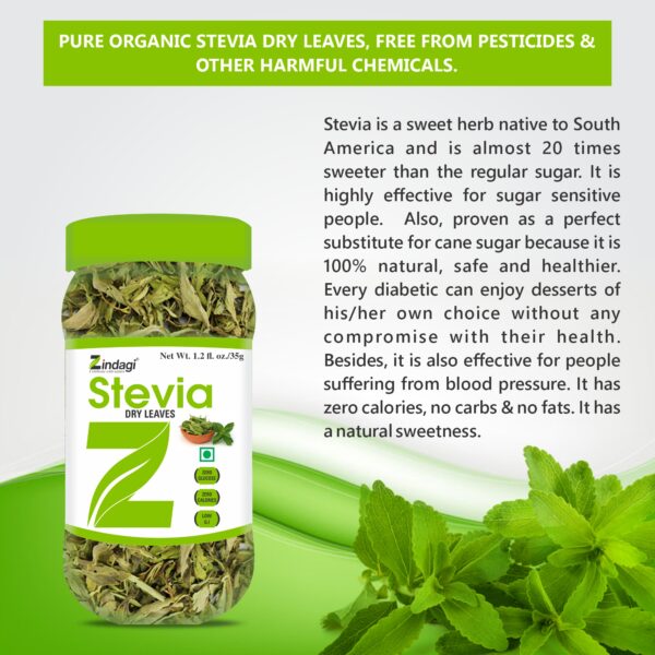 Plant based stevia leaves