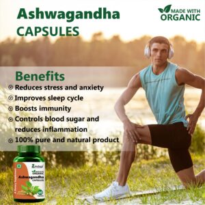 Ashwagandha capsules benefits 