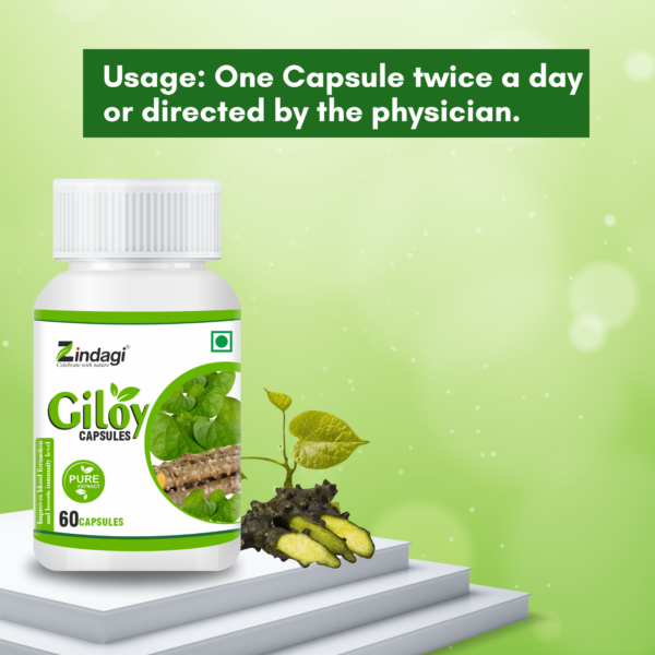 Usage of giloy capsules