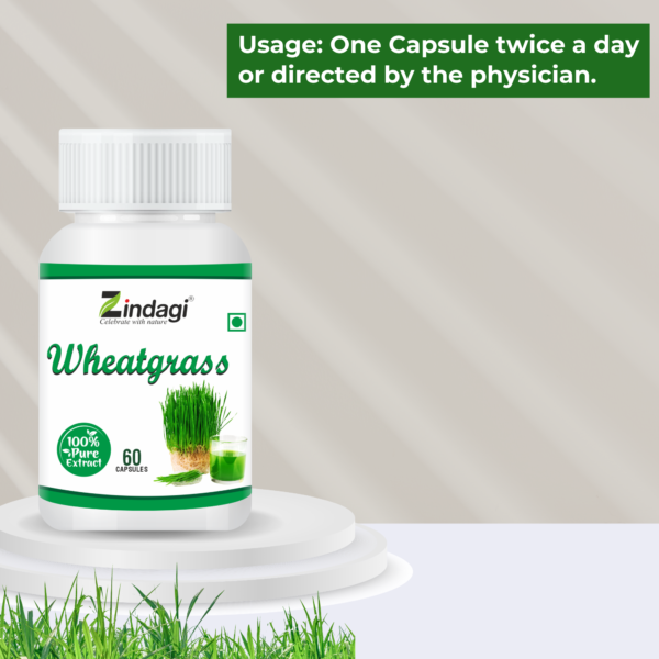 Wheatgrass capsules support healthy digestion by promoting regular bowel movements and improving gut health.