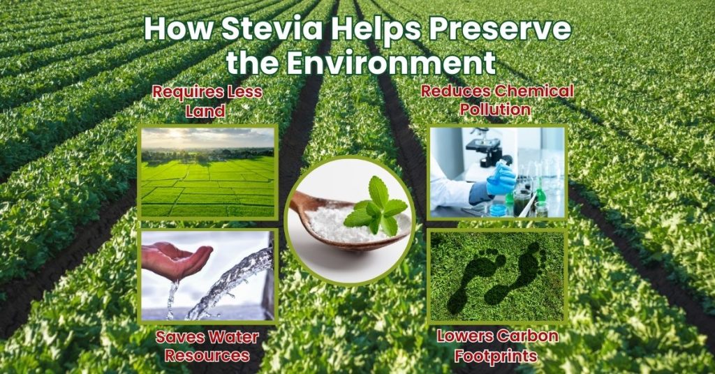 stevia 