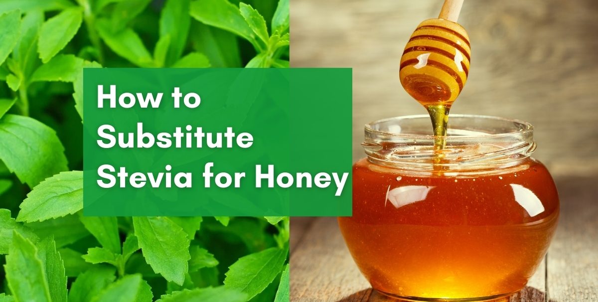 honey vs stevia